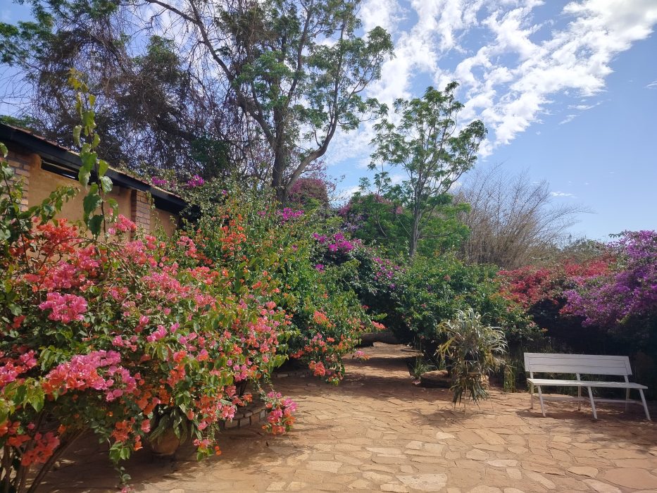 in un viaggio in Madagascar