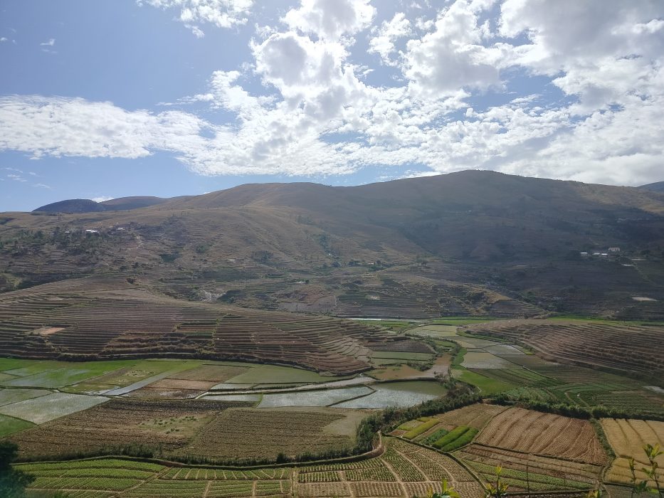 cosa vedere in un viaggio in ,Madagascar
